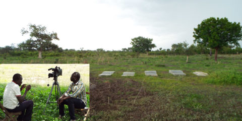 Olikwi Village Massacre Site: Arapi Parish, Arinyapi Sub County, Adjumani District, 20th March, 2004