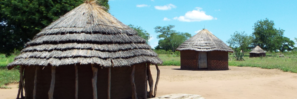 Ogolo South, LRA Massacre: Liri Parish, Arinyapi sub-county, Adjumani 7th January, 2006